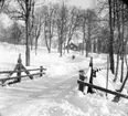 Bro över vattendrag. Villingsberg ? OBS! Granaterna på brostolparna.