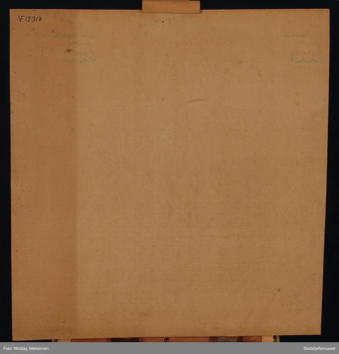 Eidsvolds-bygningen og hund