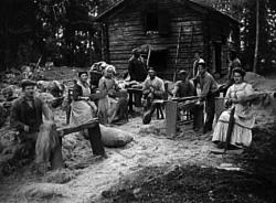 LINBEREDNING.
(DELTAGARNAS NAMN PÅ BAKSIDAN AV BILDEN I MARI