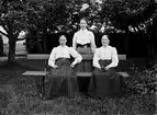 FRÖKEN MARIA DAHL STÅENDE OCH FRU ZETREUS TILLSAMMANS MED OKÄND KVINNA.