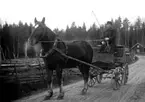 EN MAN MED HÄST OCH VAGN.  MANNEN SITTER PÅ EN GRISLÅDA, SANNOLIKT ÄR HAN PÅ VÄG TILL MARKNADEN.