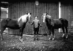 EN MAN MED TVÅ HÄSTAR UTANFÖR STALLET.

Foto i april 1918.