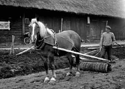 EN MAN KÖR EN RINGVÄLT MED EN HÄST.