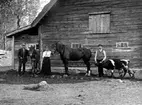 GÅRDENS FOLK MED HÄSTAR OCH KVIGA VID LADUGÅRDSGAVELN.