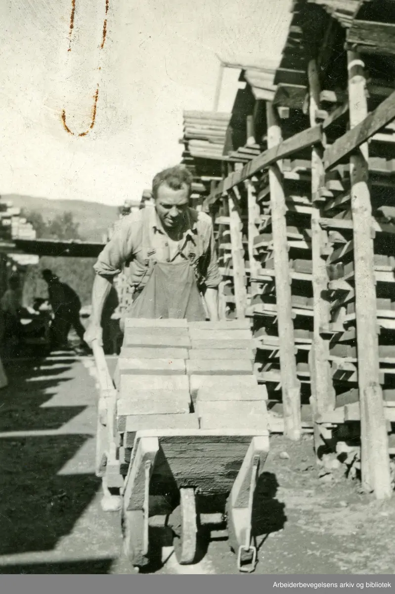Teglverk."Den tørre sten trilles fra rekkene hvor den tørres og til lagrene hvor den er til den skal brennes"..1930-tallet.