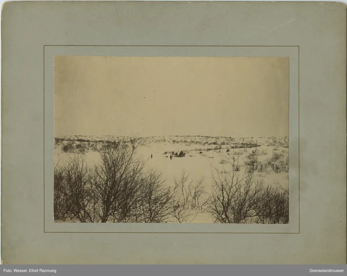 Reingjeterleir ovenfor Langfjorden i Sandnesdalen, Sør-Varanger vinteren 1897.