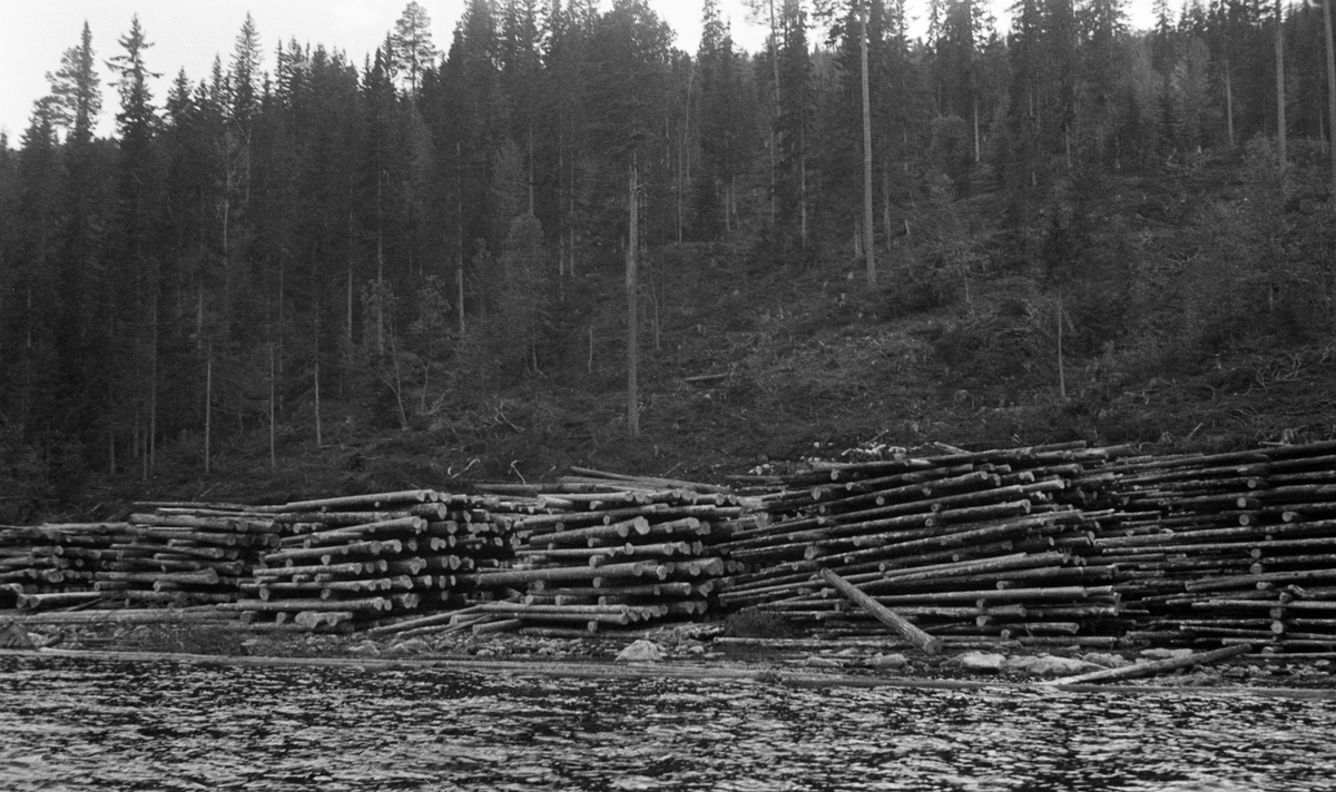 Tømmervelte med floret virke ved Storsjøen våren 1947.  Ifølge blyantinnskrift under en kopi av fotografiet i album GF 23 skal opptaket være gjort «Søndenfor S. Sand», som antakelig refererer til grenda Sjølisand på østsida av Storsjøens sørende.  Fotografiet viser cirka seks velter eller stabler med tømmer som er opplagt i 8-12 lag med mellomliggende tverrstokker, slik at virket skulle få litt luft og dermed oppnå bedre flyteegenskaper til den forestående fløtingssesongen.  Bakenfor tømmerveltene ses ei li der det forholdsvis nylig har vært hogst, men hvor en del furuer er gjensatt som frøtrær.