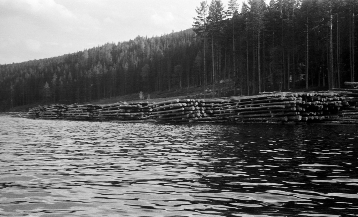 Florlagt tømmer, antakelig ved Holmsliodden på vestsida av Storsjøen, ikke langt fra kommunegrensa mellom Rendalen og Åmot.  Fotografiet er tatt fra båt inn mot stranda, der en på dette fotografiet ser seks florete tømmerstabler.  Floringa innebærer at virket er opplagt lagvis med lengderetningen parallelt med strandlinja, men med tverrstokker mellom hvert lag.  Dette prinsippet skulle sikre lufttilgang og dermed bidra til en forsiktig tørk av virket før fløtingssesongen startet.  På denne lokaliteten later virket til å være opplagt i 8-10 lag.  Tømmerleverandøren skal ifølge innskrift på albumark i album GF 23 ha vært Per P. Sjølie.  Bak tømmervelta ses høy, tett og rank furuskog. 