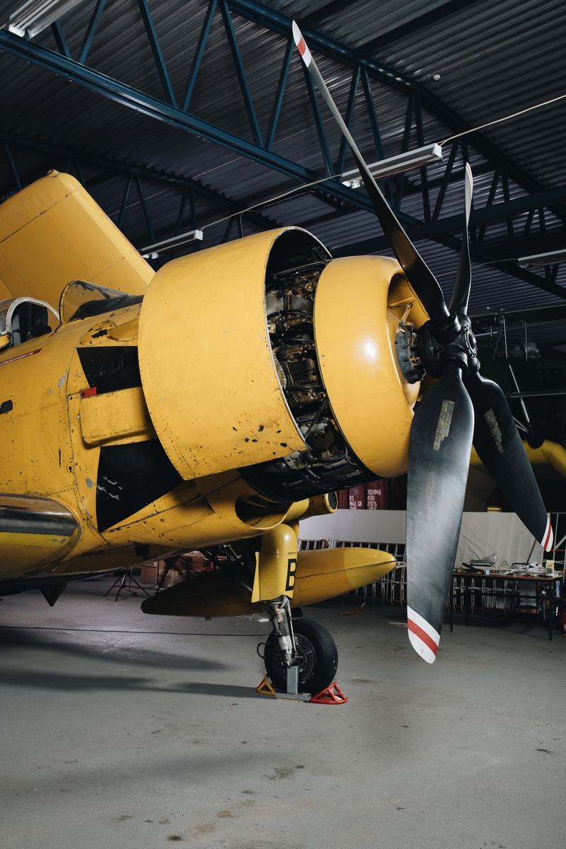 Flygplan av modell Skyraider. Enmotorigt propellerflygplan ursprungligen avsett för basering på hangarfartyg. Gulmålat, något nött med genomslag av Royal Navys marinblå kamouflage. Märkning på flygkroppens sidor: "Svensk Flygtjänst AB".