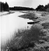 Hedesunda.
Dalälven, Hedesundafjärdarna. Ålboån på sin väg mot söder.Bilden tagen från västra stranden, strax söder om vägen.