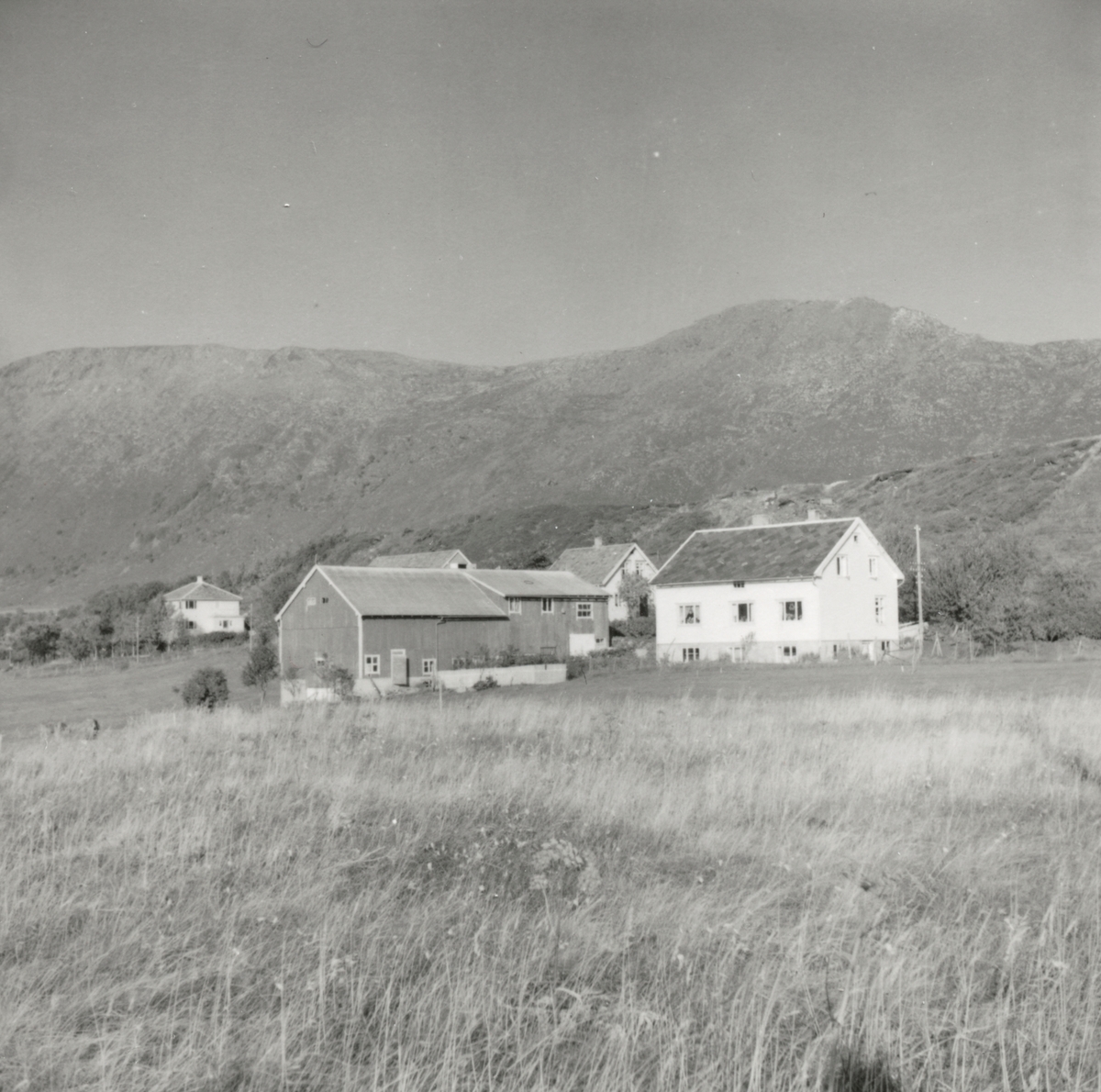 Prospektfotografi fra sør-østsiden av Godøy. Her er ett av bruka, Nedste- Joans, i Gøygarden, den gården som hadde det største fellestunet i Borgund og Giske.