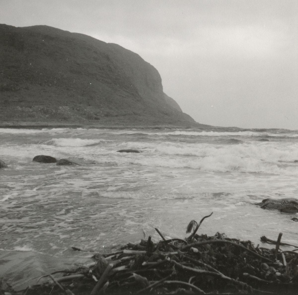 Landskapsbilder av stranden ved Alnes, Godøy.