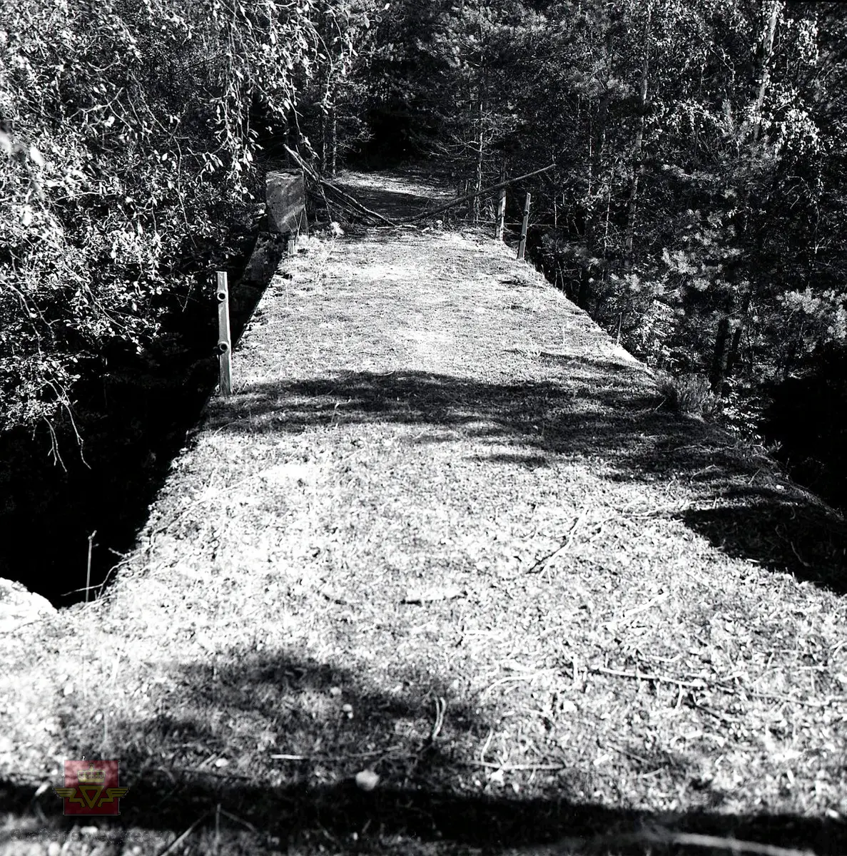 Skjølja bru (gammel), Skjøljavatnet, Vindafjord. Steinhvelvbru hvelv i betong og overmur i tørrmur. Byggeår 1921. Lengde ca. 15,0 m. Antall spenn 1. Største spenn 7,5 m. Brutus nr. 11-0701. Tilgjengelig, ikke trafikkert. Neg.nr.12.