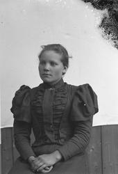 Fotograf J. Engerdal, Trysil