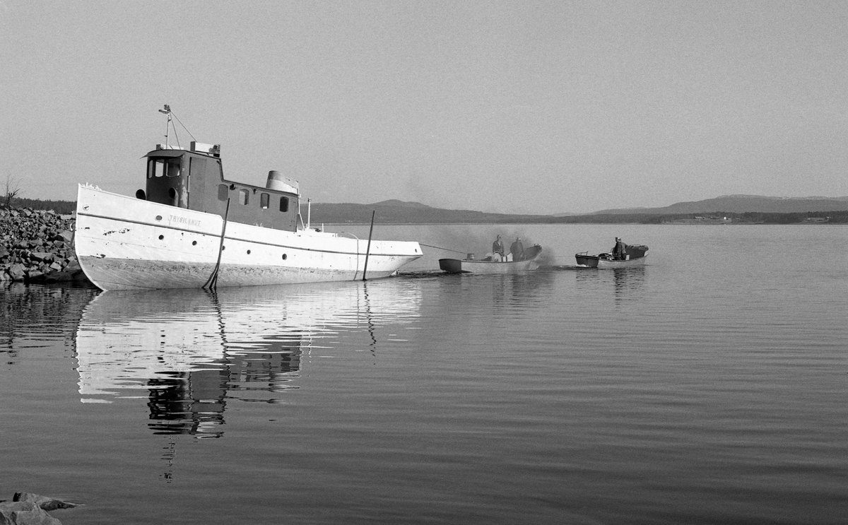 Sjøsetting av slepebåten Trysilknut fra Sørlistøa ved Osensjøen i mai 1984. Dette fartøyet ble trukket opp på slipp når fløtingssesongen, og der ble den stående vinteren over, inntil forberedelsene til neste fløtingssesong startet. På slippen sto Trysilknut på ei vogn, som kunne beveges opp og ned fra vannet på jernbaneskinner.  Avstanden mellom de ytterste skinnene var 360 centimeter. Da Trysilknut kom ut i vannet brukte fløterne varpebåten til å trekke den tunge slepebåten av vogna den hadde stått på gjennom vintersesongen. Det var i denne fasen at dette fotografiet ble tatt. 

Osensjøen har et nedslagsfelt på 1 300 kvadratkilometer, hvorav om lag halvparten er bevokst med produktiv skog, og i dette området vokser det mye kvalitetsvirke.  Fra gammelt av var fløtinga her et samspill mellom strømdrag i sjøen, vinden og menneskelig muskelkraft.  Lenge ble stokkene samlet i flåter og forsøkt seilt mot Valmen og avløpselva Søndre Osa, noe som innebar vanskeligheter når det var vindstille eller motvind.  Utover på 1800-tallet begynte man å bruke spillflåter med gangspill, forankret i «dregger» (ankere) med lange trosser.  Denne formen for fløting la beslag på mye mannskap, og med stigende lønninger ble det en kostnadsfaktor tømmerkjøperne gjerne ville krympe.  I 1913 foreslo fløtingsdirektør Johs. Johannesen for styret i Christiania Tømmerdirektion (seinere Glomma fellesfløtingsforening) at organisasjonen skulle kjøpe en «slæpedamper» til fløtinga på denne innsjøen. Med denne investeringa antydet han at de årlige driftskostnadene kunne redusere driftskostnadene til snaut 40 prosent av hva de hadde vært. Styret gikk inn for saken – man ville få bygget en dampslepebåt til fløtinga på denne innsjøen.  Glommens mek. verksted i Fredrikstad fikk oppdraget.  De bygde tømmerslepebåten som en litt krympet utgave av D/S Storsjø, som var levert til fløtinga på Storsjøen i Rendalen ett år tidligere. Båten kostet drøyt 38 000 kroner.  Den ble transportert i seksjoner på jernbanen til Rena, og derfra på sleder til Osen vinteren 1914. Der ble seksjonene klinket sammen, slik at båten kunne sjøsettes når våren kom.  Trysilknut ble sjøsatt 2. mai 1914. Kaptein og maskinist hyret man i Fredrikstad-regionen. De første åra hadde båten base i og ved Valmen, men i slutten av 1930-åra bygde Glomma fellesfløtingsforening fløtingssenteret Sørlistøa, hvor det blant annet var slipp for Trysilknut, slik at båten kunne tas på land hver vinter. En «normal» tømmerbom for den dampdrevne slepebåten besto av 24 000 tømmerstokker og hadde et volum på om lag 4 000 kubikkmeter. Både mannskapet og ingeniørene i Glomma fellesfløtingsforening ønsket imidlertid å styrke trekkevnen, noe som ble realisert i 1957-58, da den 75 hestekrefters dampmaskinen ble demontert og erstattet av en 135 hestekrefters dieselmotor. Samtidig fikk båten nytt styrhus og nye lugarer. Dette fotografiet viser båten med det utseendet den fikk etter ombygginga. Det opprinnelig mørke skroget ble kvitmalt, riktignok med ei grønn linje. Styrhuset og byssa ble malt med en rødbrun farge, og den lyseblå skorsteinen fikk Glomma fellesfløtingsforenings initialer. Da det var klart at 1984 ville bli den siste sesongen med tømmerfløting på Osensjøen, tilbød Glomma fellesfløtingsforening Norsk Skogbruksmuseum å kjøpe Sørlistøa, båtene og det øvrige utstyret som lå igjen etter virksomheten. Museet aksepterte tilbudet, og startet arbeidet å bygge om Sørlistøa til museum.  Anlegget ble åpnet for publikum i 1989. Trysilknut var en del av attraksjonen.  Den ble sertifisert for mannskap og inntil 19-20 passasjerer, og gikk søndagsturer på sjøen i sommersesongen. Sjølve skroget var i bemerkelsesverdig god stand, men både oppdatering i tråd med nye sikkerhetsforskrifter og utbedring av fukt- og råteskader på interiøret måtte til.  Riksantikvaren bidro til finansiering, og Hardanger fartøyvernsenter var hovedansvarlige for det praktiske arbeidet, som ble utført i 2011-2012. I 2013 ble det elektriske anlegget utbedret, og i 2014 ble båten nok en gang malt med de fargene den fikk i 1958, og som den fortsatt hadde da dette fotografiet ble tatt.