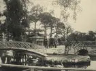 Skansen. Doktor Jonas Rudberg, Tandläkare Skogsborg, Direktör Nyrén, Kapellmästare Chr. Crause samt Red. Kay G. Englund församlade vid Svandammen i övre Tivoli 1890.