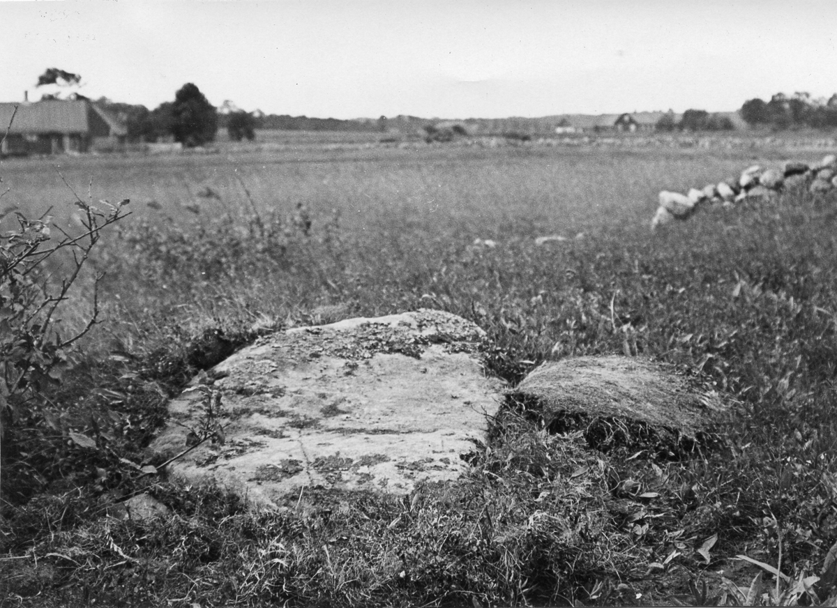 Östra Karups sn.
Nidingstorp.
Foto 1 Nidingstorp nr 2.
Foto 2 Nidingstorp nr 2.
Foto 3 Nidingstorp, Sten 1.
Foto 4 Nidingstorp, Skålgropsten nr 2.
Foto 5 Nidingstorp nr 2a.
Foto 6?.
Foto 7 Nidingstorp 1:4.
Foto 8 Nidingstorp, toppsten.