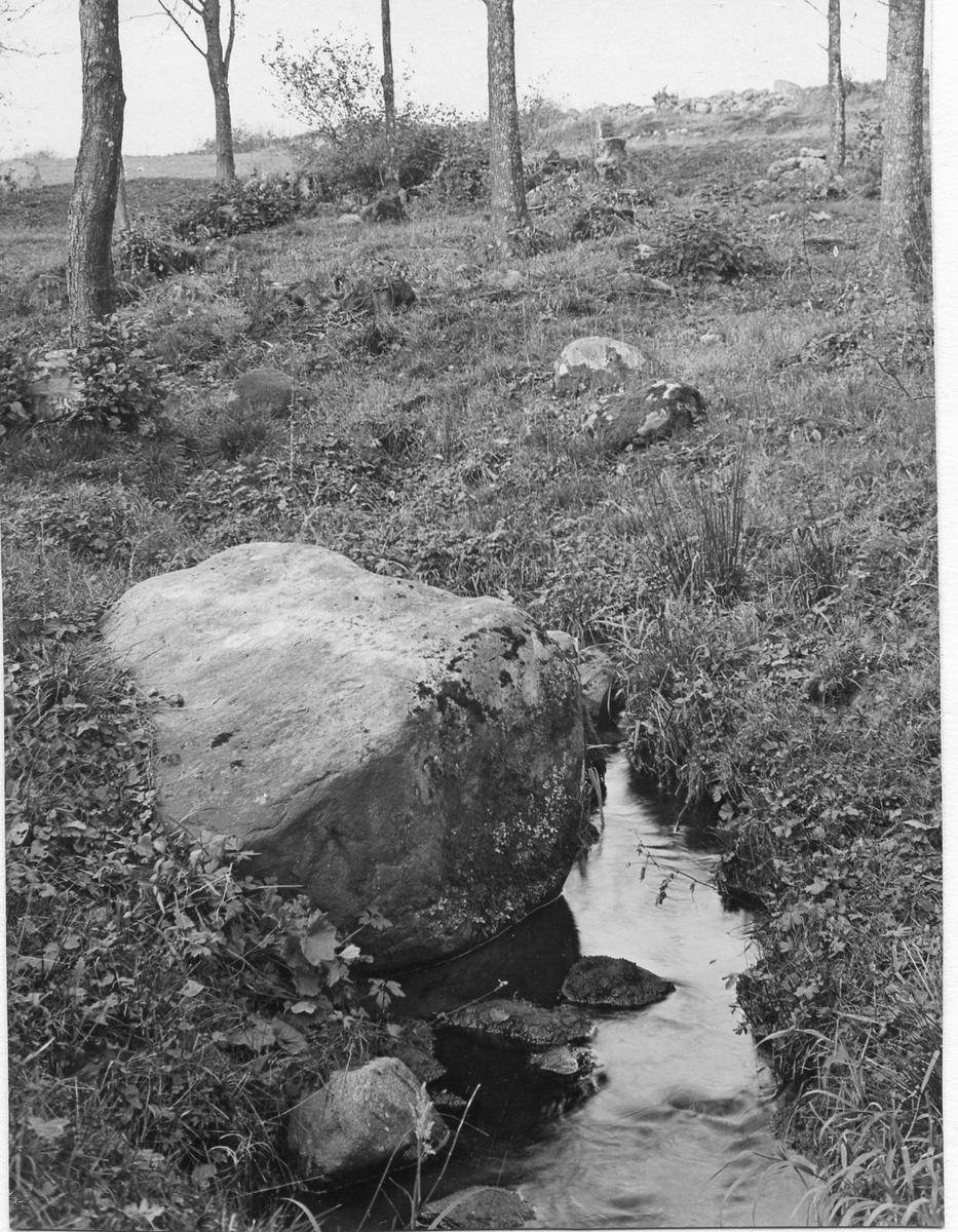 Östra Karups sn.
Nidingstorp.
Foto 1 Nidingstorp nr 2.
Foto 2 Nidingstorp nr 2.
Foto 3 Nidingstorp, Sten 1.
Foto 4 Nidingstorp, Skålgropsten nr 2.
Foto 5 Nidingstorp nr 2a.
Foto 6?.
Foto 7 Nidingstorp 1:4.
Foto 8 Nidingstorp, toppsten.