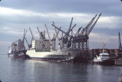 Winter Moon i Port Elizabeth.