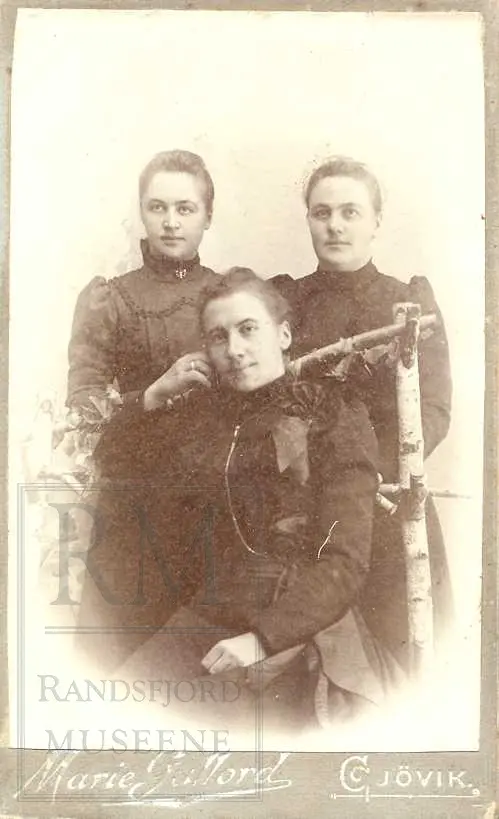 Fotoalbum fra gården Øvre Næs Vestre i Brandbu. Portretter av familien Næs m fl