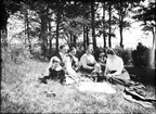 Picknick i gröngräset, Östhammar, Uppland