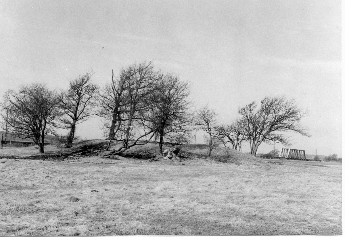 Åsklosters kungsgård.
Ruinkulle nordost om E 6.
Foto 1 Foto från nordost.
Foto 2 Foto från sydost.
Foto 3 Foto från öster. I bakgrunden järnvägsbron över Viskan.
Foto 4 Foto från norr.