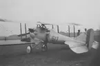 Flygplan J 2 nummer 617 står på ett flygfält vid flygdagen på Bulltofta den 5 september 1926.