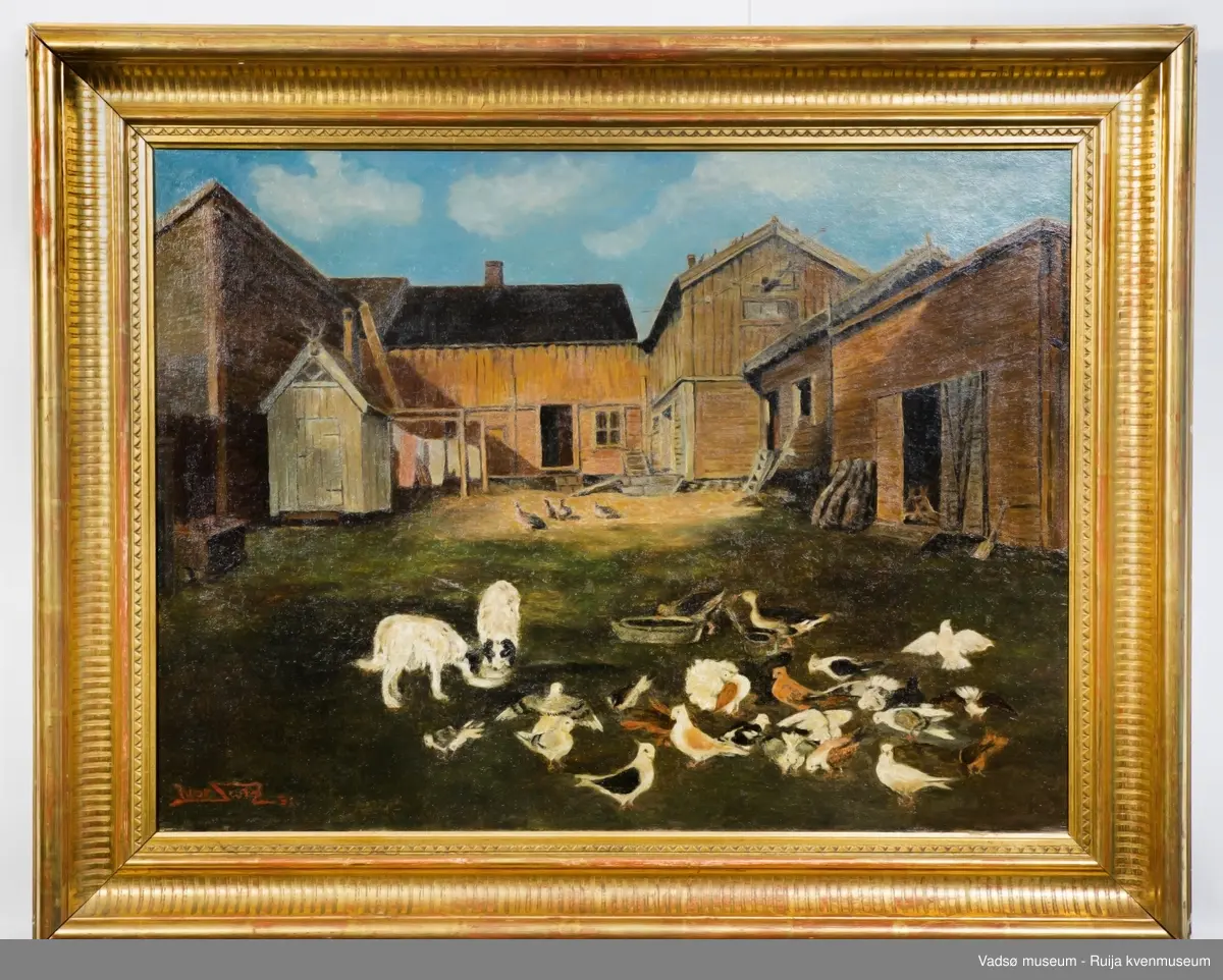 Bakgårdsmotiv fra gård i Vadsø med flere bygninger og uthus, hunder, gjess, duer.