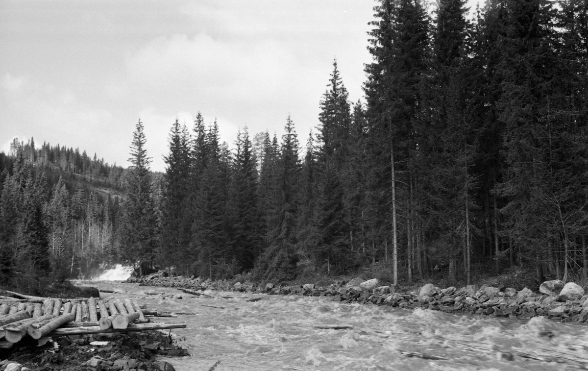 Fra fløtinga i Løsetåa i Nord-Odal våren 1955. Dette fotografiet er tatt den 12. mai, den dagen fløtinga i dette vassdraget startet dette året. Fra da av var fløterne beskjeftiget med å få tømmeret ned til innsjøen Råsån eller Råsen et par uker. Bildet oppgis å være tatt nedenfor Køidammen, som var den nest nederste av de fem dammene på strekningen mellom Ottsjøen eller Otten og utløpet i Råsån. Vi skimter et kvitskummende fossefall i bakgrunnen, til venstre i bildet. Til venstre i forgrunnen lå det ei flakvelte med tømmer som skulle rulles ut i vassdraget. Det som har opptatt fløtingsfunksjonæren som tok bildet var antakelig det «elverensnings- eller elveforbedringsarbeidet» som var utført her. I midten av 1950-åra ble det brukt bulldoser som skyflet stein fra elvefaret opp på elvebreddene i dette vassdraget. På denne måten ønsket man å bedre framkommeligheten for fløtingsvirket. Ved å redusere faren for at stokkene hektet seg fast og filtret seg sammen i hauger i elveløpet kunne man effektivisere fløtinga.