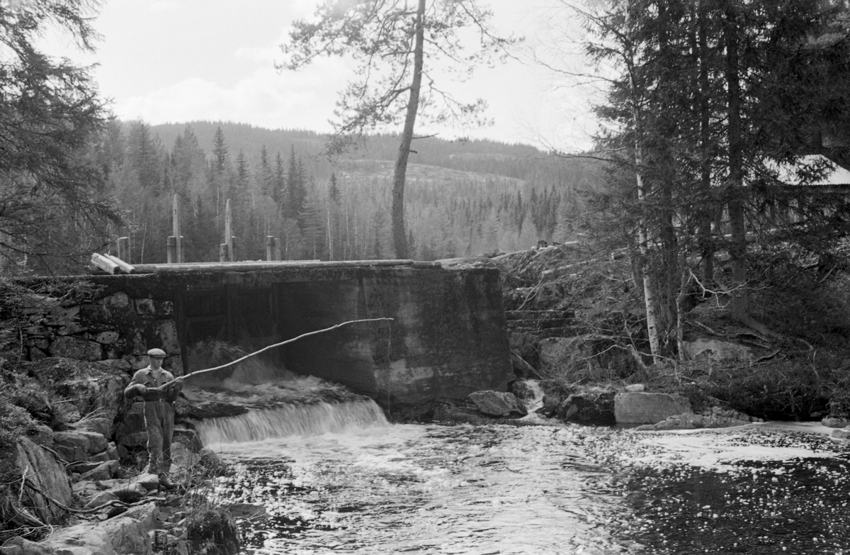 Kjonsteindammen i Løsetåa i Nord-Odal, fotografiert i første halvdel av mai i 1955. Dammen var plassert der elva rant ut av et lite tjern, drøyt 250 meter over havet. Ettersom dette fotografiet er tatt i motstrøms retning, ser vi ikke vannreservoaret. Bildet er tatt mot damløpet, hvor det var et kar av tørrmurt naturstein på den ene sida (til venstre på dette bildet) og et støpt kar på den andre sida. Også brua var støpt. Dette var en lukedam, som, da fotografiet ble tatt ser ut til å ha vært stengt med tre luker. Likevel sivet det en del vann over damgolvet. I forgrunnen, ved kulpen under damløpet, sto det en ung mann med ei fiskestang som han antakelig hadde lagd av en stamme fra et lauvtre i  nærområdet. Mannen var kledd i kjeledress og hadde sixpencelue på hodet. Sannsynligvis var dette en fløter, som fikk tida til å gå ved å fiske mens han ventet på at dammen skulle fylles.