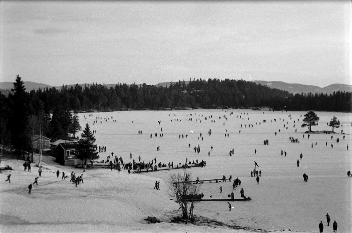 Utfart i Bymarka. Skøyteis på Lianvannet