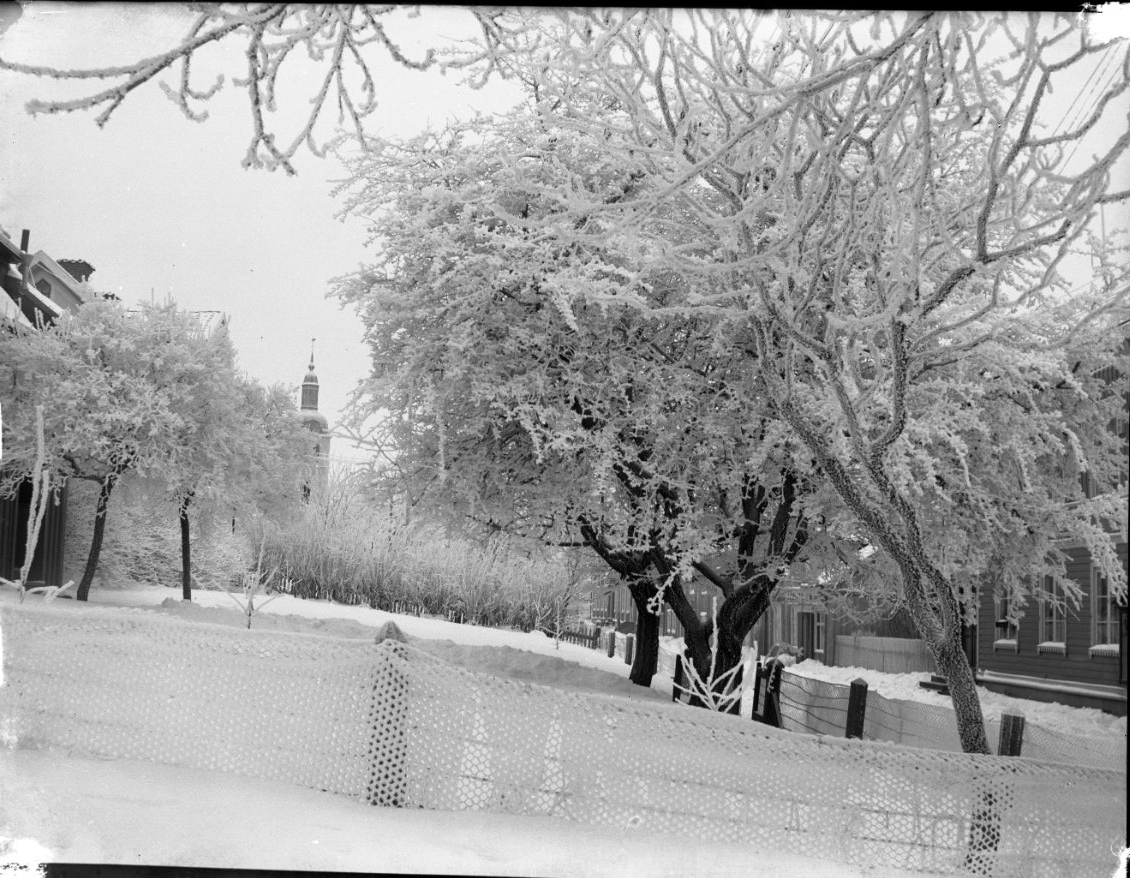 Gränna i vinterskrud, snö på marken och snötyngda träd. Till vänster förgårdsmarken till Brahegatan 42 och till höger, mittemot, skymtar Brahegatan 39. Fotografi söderut från södra uppfarten till torget.