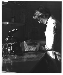 DEXTRA Photo