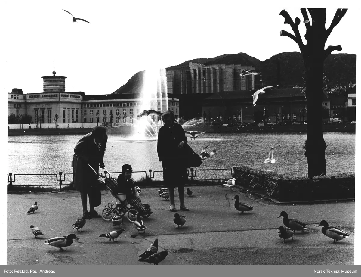 Fuglene mated ved lille Langaardsvann, Bergen, Grieghallen i bakgrunnen