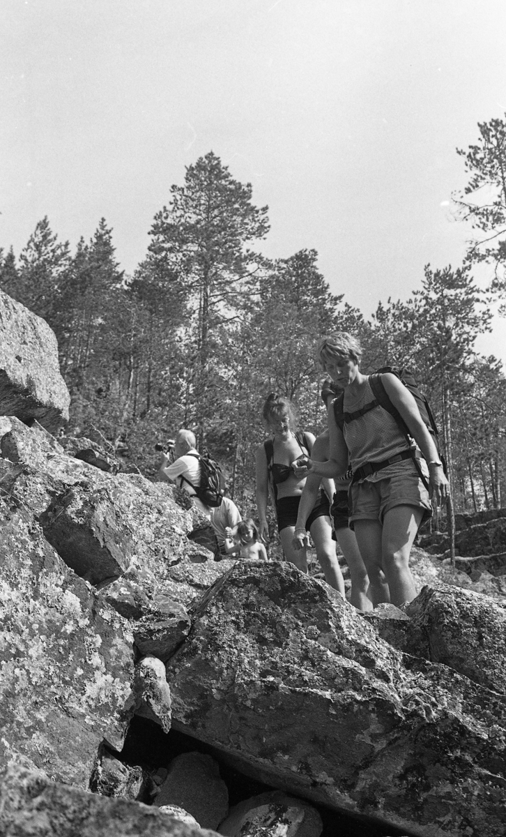 Turfølge Jutulhogget
