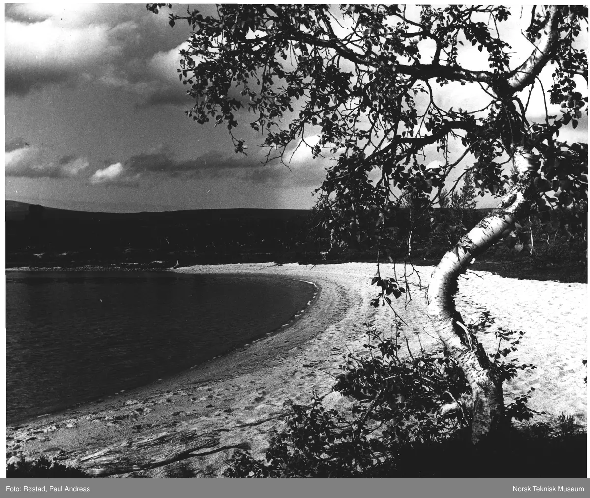 Herlig sandstrand, Muggsjøen, Femundmarka