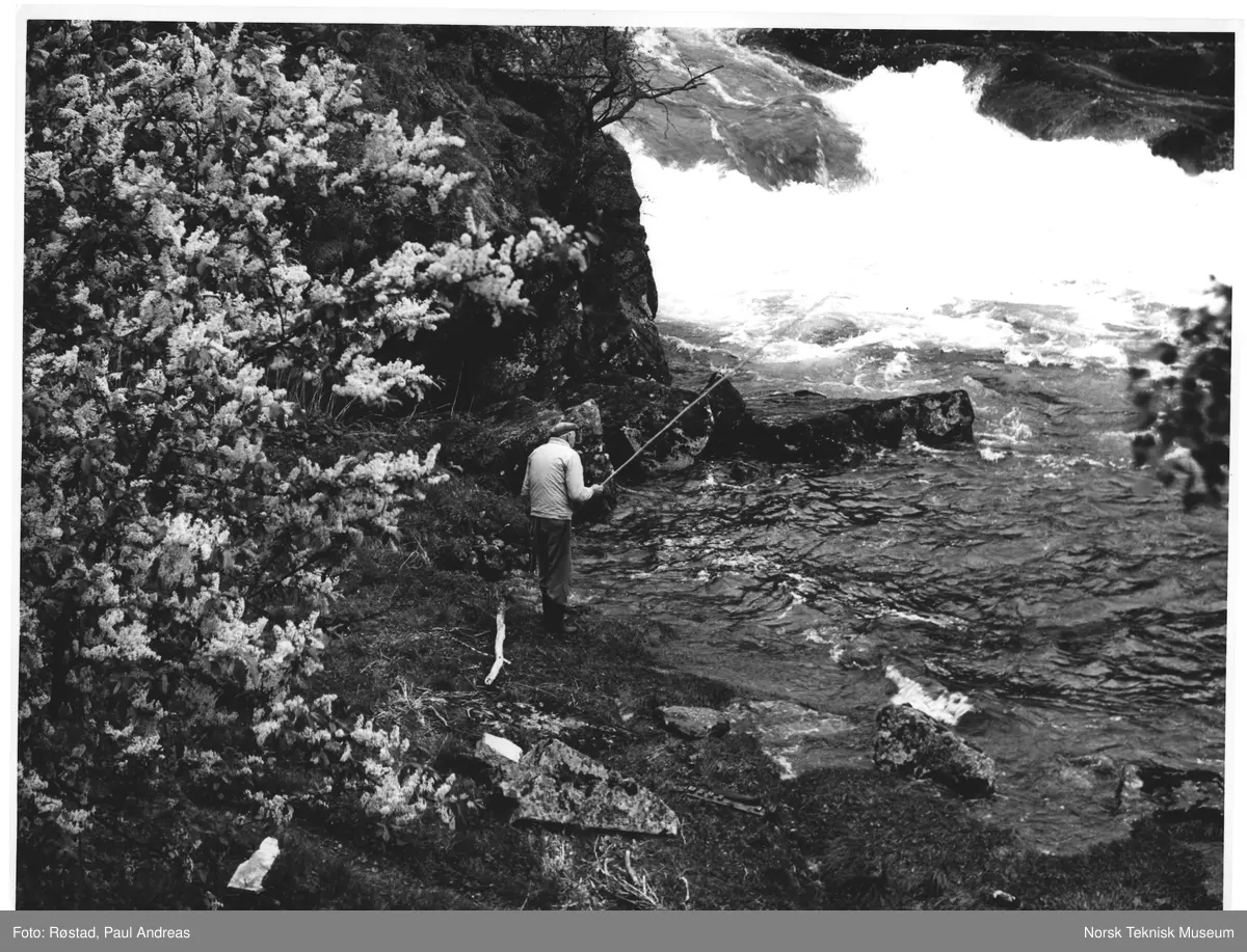 Lærdalselva