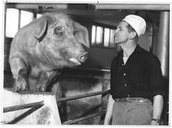 0,008 - 1,60. 50 %. 14 x 18 cic. 0,66