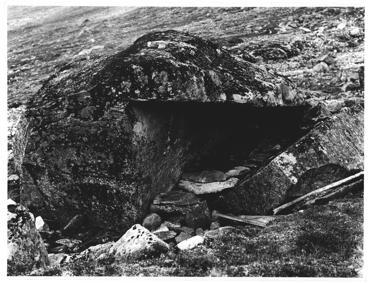 Fin heller i Koldedalen. Jotunheimen