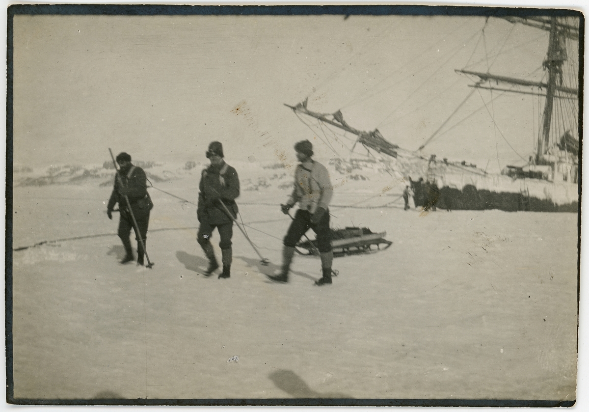 Antarktiska undsättningsexpeditionen. Löjtnant Axel Blom, Axel Klinckowström och löjtnant S R Bergendahl ger sig av mot Snow Hill den 4 december 1903.