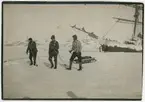 Antarktiska undsättningsexpeditionen. Löjtnant Axel Blom, Axel Klinckowström och löjtnant S R Bergendahl ger sig av mot Snow Hill den 4 december 1903.