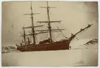 Första svenska Antarktisexpeditionen. Expeditionsfatyget ANTARCTIC vid en nyligen invgid isdocka, möjligen 1902. Påskrift på originalets baksida: 