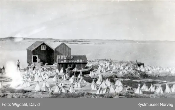 Klippfisktørke i Valøya