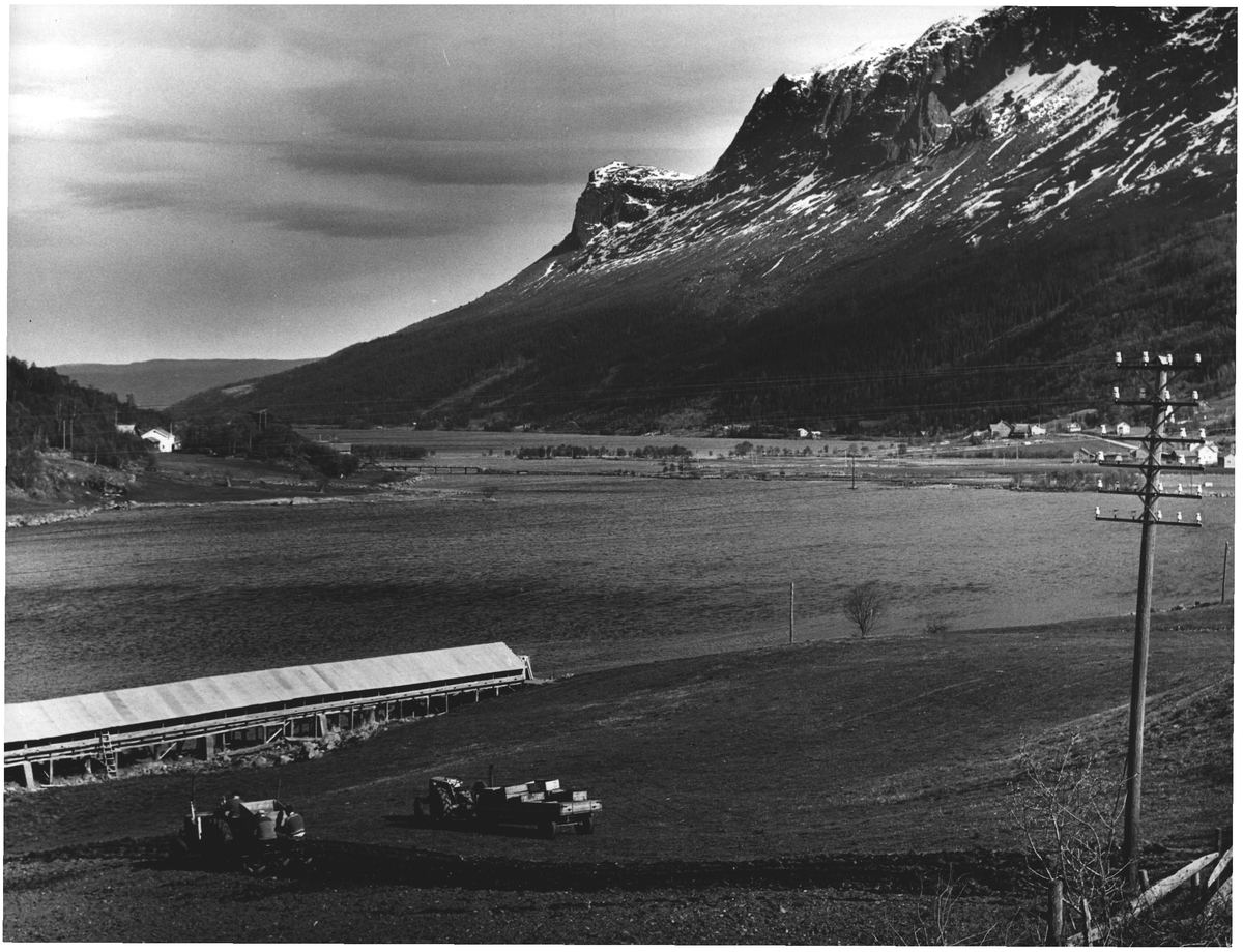 Potethøsting. Vang i Valdres