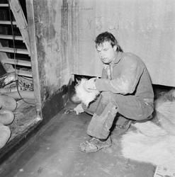 Arbetsbilder Danska Standard Flex