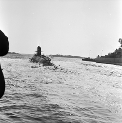 Sjösättning av ubåten sjöhästen