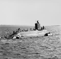 Sjösättning av ubåten sjöhästen