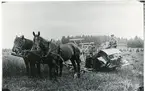 Berg sn, Hallstahammar kn, Hallstahammar.
Skördearbete på Åsby gård i början av 1930-talet.
