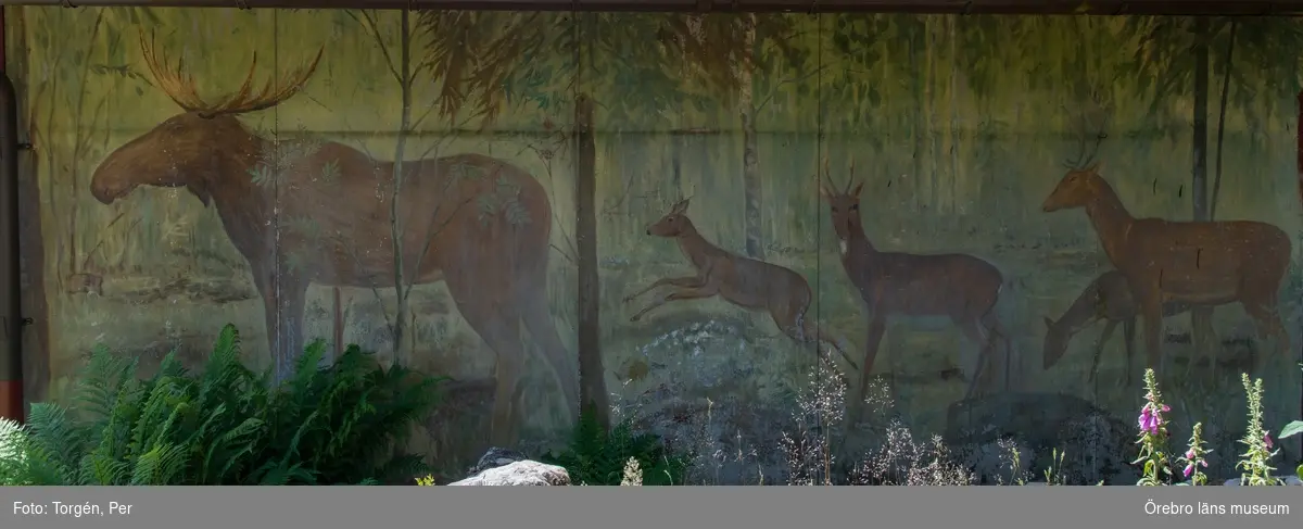 Dokumentation av väggmålningar utförda av konstnär Bror Drake af Hagelsrum. Målningarna har troligtvis sitt ursprung från en sommarstuga i närheten av Skattkärr i Värmland.