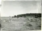 Svedvi sn, Hallstahammars kn, Årby.
Årby gravfält, juli 1940.